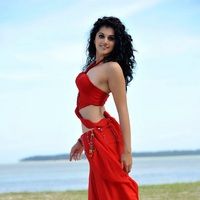 Tapasee Pannu Hot Photos Stills | Picture 49307